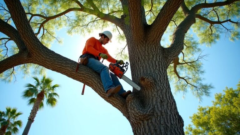 hawthorne fl tree trimming